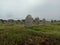 ALIGNEMENTS DE CARNAC Visit the largest megalithic complex of its kind in the world, a major site of prehistoric Europe.