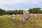 Alignment of Kerlescan, megalithic monuments in Carnac, Brittany, France