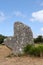 Alignment of Kerzerho - rows of menhirs in Brittany