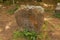 Alignment of menhirs in the forest at Carnac southern Brittany gulf Morbihan neolithic site France