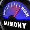 Alimony Gauge Level Spousal Support Financial Payment Amount