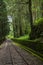 Alishan forest railway narrow gauge train