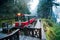 Alishan forest train railway