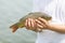 Alive carp fish in fisherman hands outdoors. Fishing and hobby concept