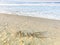 \'Alive\' Draw On Sandy Beach With Ocean Waves, Inspirational Sand Word