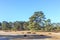 Alive and moving drifting sand dunes of Soesterduinen area in Netherlands