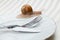 Alive snail on plate with fork and knife - Uncooked yet - Not ready