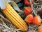 Alkekengi berries on the straw and a yellow cob