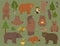 All bear species in one set. Bears in forest collection