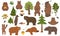 All bear species in one set. Bears in forest collection