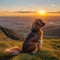 All brown cavalier king charles dog looking out over the hills. A dog sits on a path looking at the sunset.