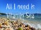 All I Need Is Vitamin Sea design for traveler who is on vacation and love the ocean.