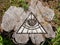 All seeing eye graffiti on old tree stump, deep state conspiracy