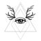 All seeing eye symbol over rose flower and deer antlers. Sacred