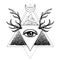 All seeing eye symbol over rose flower and deer antlers. Sacred