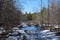 Almost all the snow has melted in the spring forest. A huge puddle is in the middle of a forest path.