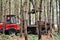 all-terrain forestry forwarder for handling and transporting tree trunks in the forest