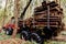 all-terrain forestry forwarder for handling and transporting tree trunks in the forest