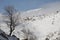 All white snow on Mount Hermon cable very beautiful