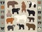 All world bear species in one set. Bears collection