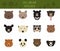 All world bear species in one set. Bears collection.