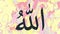 Allah Almighty Name with New Arabic font style