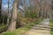 Allaire State Park Nature Trail in Springtime -05