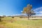 Allans Flat Landscape Australia