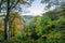 Allen Banks view over wooded valley