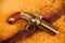 Allen Thurber 5 Barrel Pepperbox Pistol