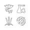 Allergens linear icons set