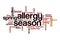 Allergy season word cloud concept