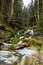 Allerheiligen waterfalls in winter in germany