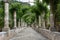 Alley in the Alfabia Gardens, Mallorca, Spain