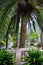 Alley in the Alfabia Gardens , Mallorca,  Spain