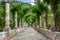 Alley in the Alfabia Gardens park on Tramuntana mountain, Mallorca, Spain