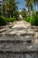 Alley in the Alfabia Gardens park on Tramuntana mountain, Mallorca, Spain