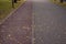 Alley with artificial carpet, treadmill in the autumn park is covered with fallen leaves