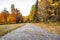 An alley with autumn red-yellow maples with falling leaves beckons lovers of hiking to enjoy nature