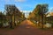 The alley with benches in Catherine park in Pushkin, Russia