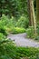 Alley in the Botanical Garden, Dublin, Ireland