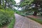 Alley in the botanical garden with spruce trees