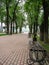 Alley of the city Park in the Russian city of Kaluga.