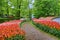 Alley among colorful tulips, Keukenhof Park, Lisse in Holland
