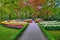 Alley among colorful tulips, Keukenhof Park, Lisse in Holland