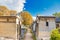 Alley with crypts and trees at Montmartre Cemetery