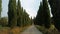 Alley with cypress trees in Tuscany