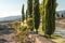 Alley of cypresses in Pamukkale during irrigation