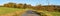 alley deciduous trees and road autumn panoramic view