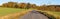 alley deciduous trees and road autumn panoramic view